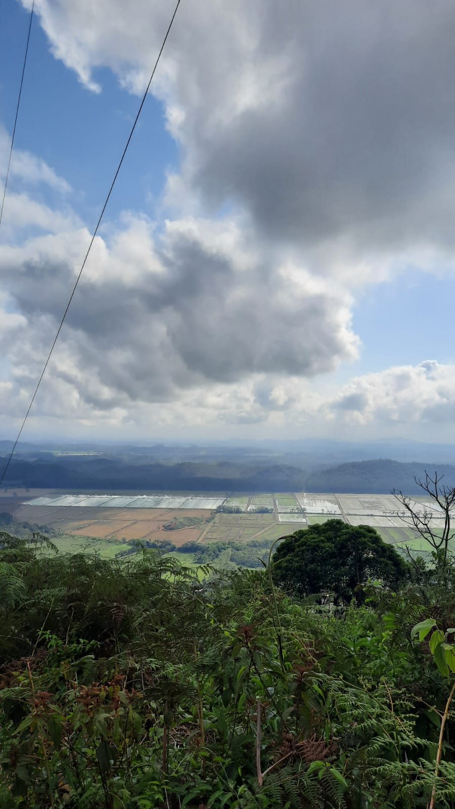 Imagem do WhatsApp de 2025-06-25 à(s) 12.44.54_db174320